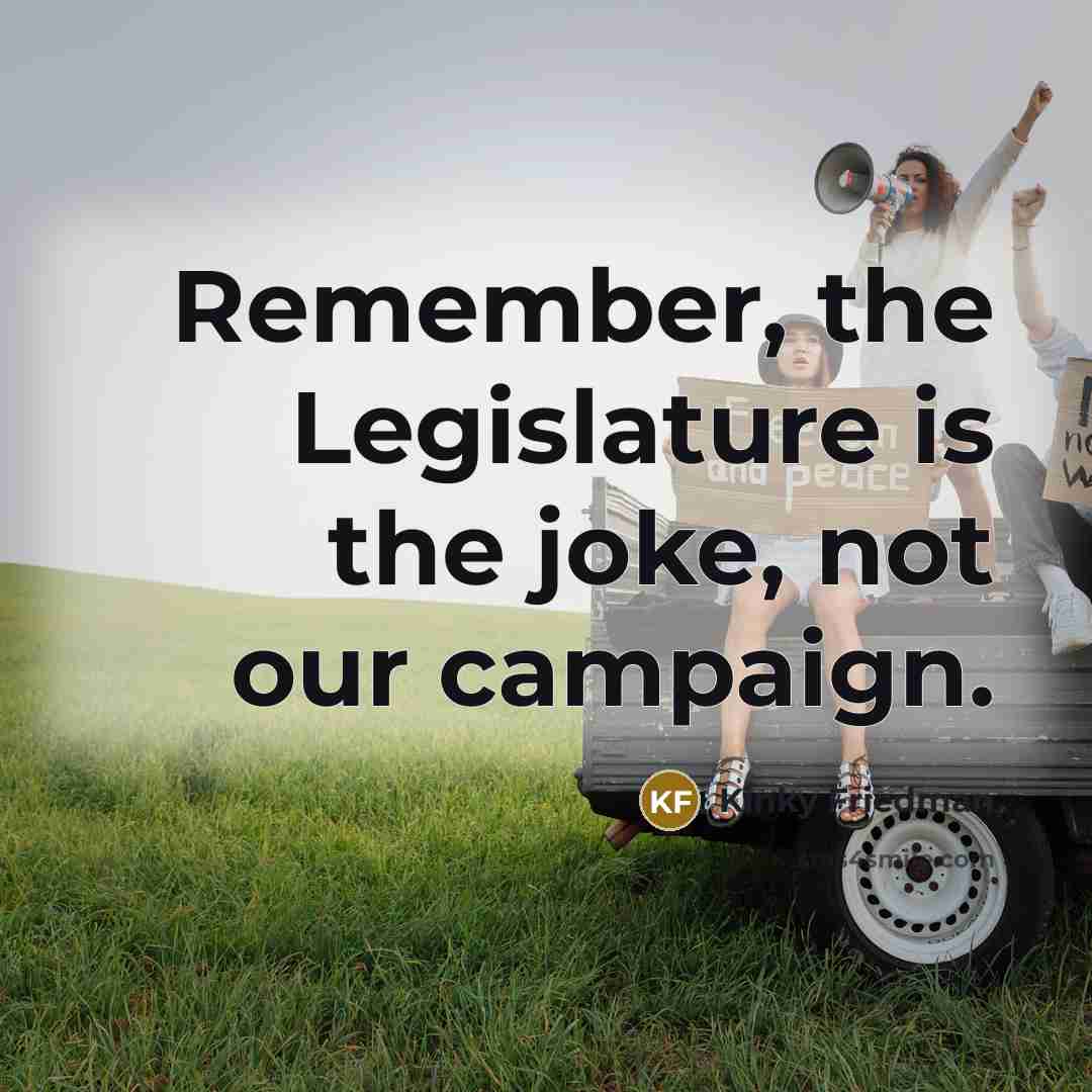 “Remember, the Legislature is the joke, not our campaign.…” quote by Kinky Friedman