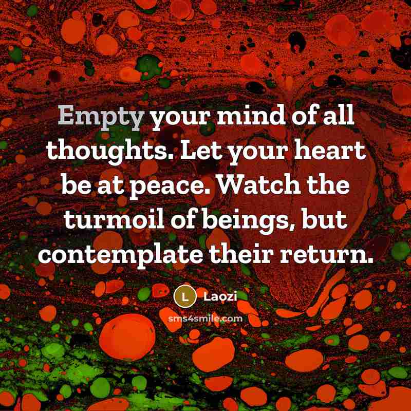 “Empty your mind of all thoughts. Let your heart be at peace. Watch the turmoil of beings, but contemplate their return.” quote by Laozi