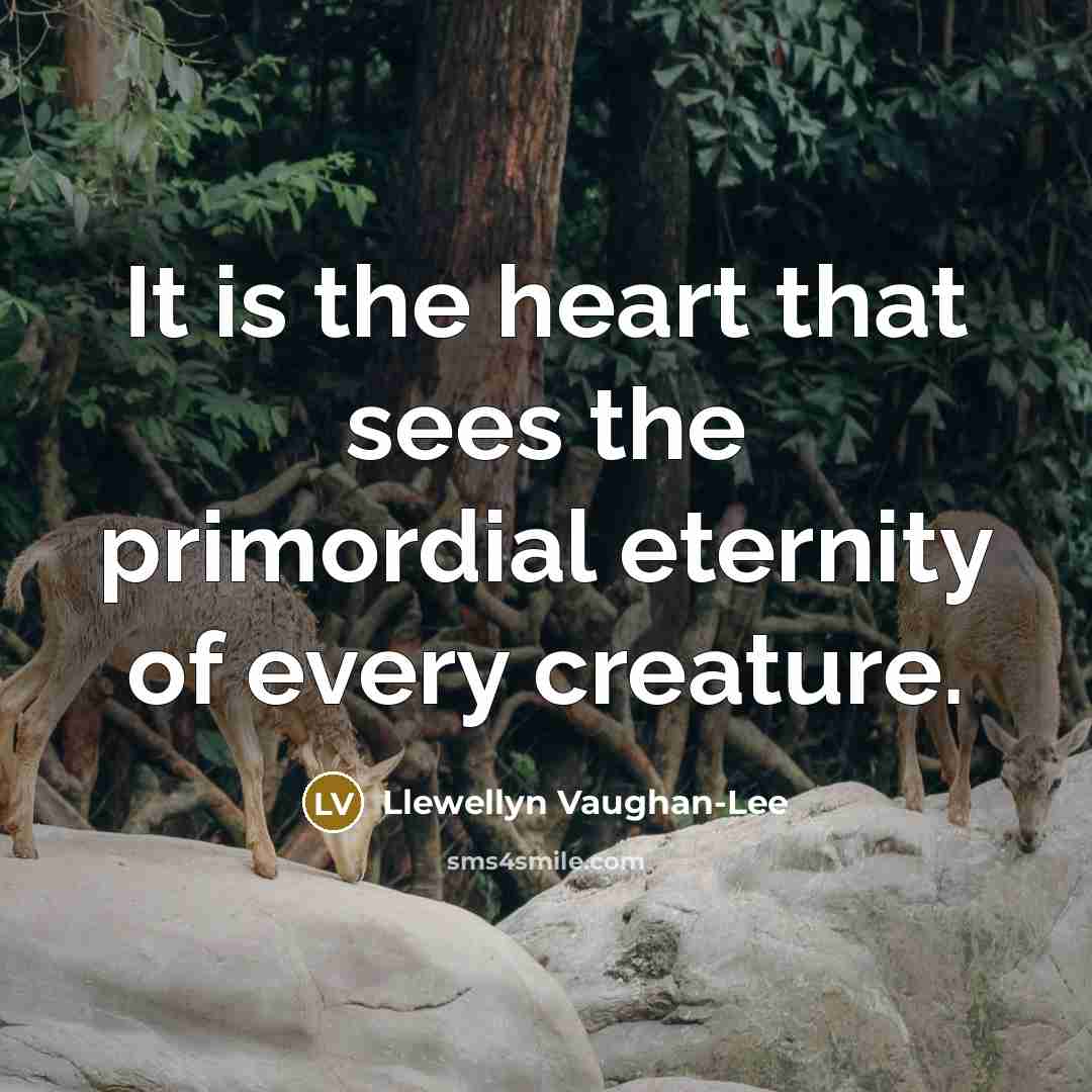 “It is the heart that sees the primordial eternity of…” quote by Llewellyn Vaughan-Lee