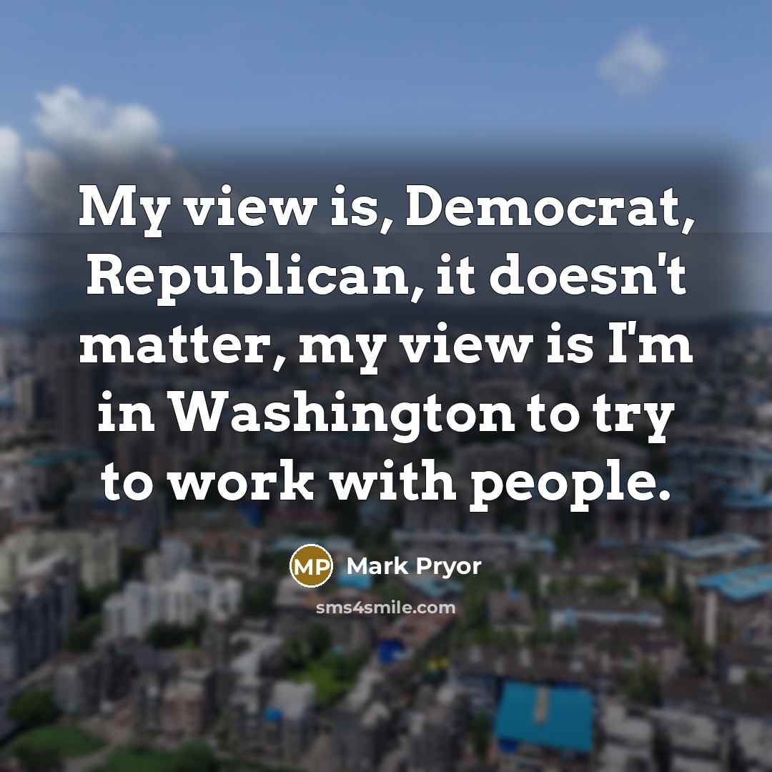 “My view is, Democrat, Republican, it doesn't matter, my view…” quote by Mark Pryor