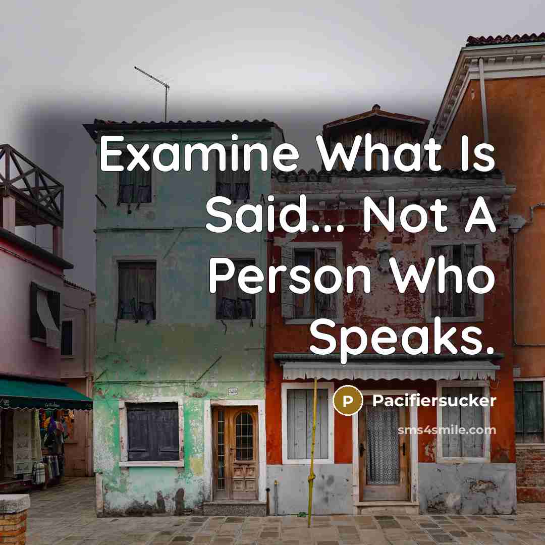 “Examine What Is Said... Not A Person Who Speaks.…” quote by Pacifiersucker