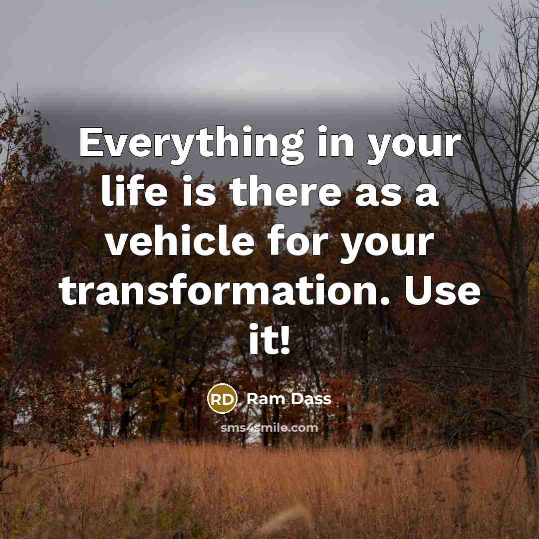 “Everything in your life is there as a vehicle for…” quote by Ram Dass