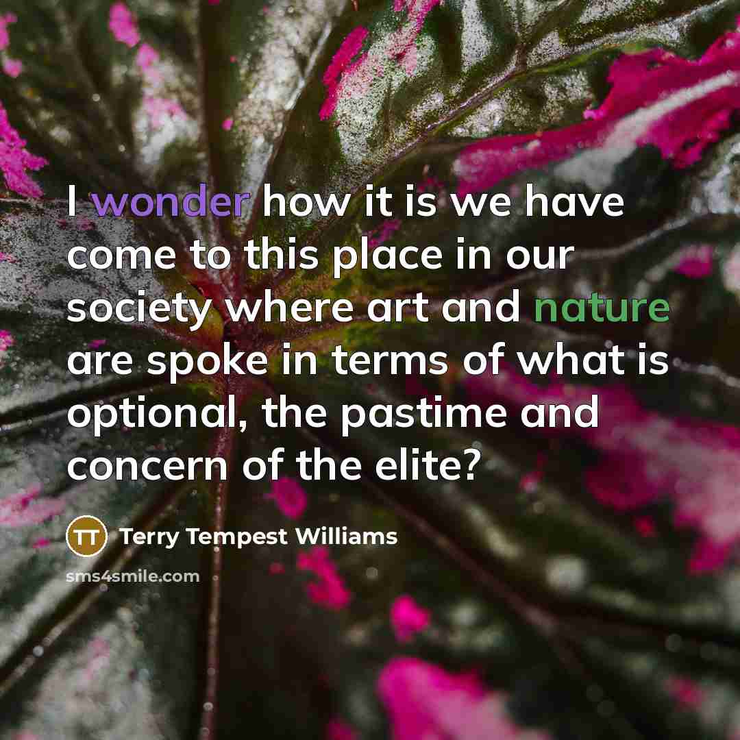 “I wonder how it is we have come to this…” quote by Terry Tempest Williams