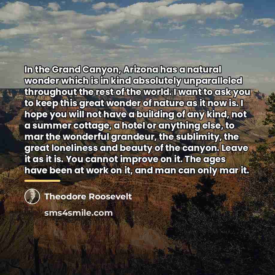 “In the Grand Canyon, Arizona has a natural wonder which…” quote by Theodore Roosevelt