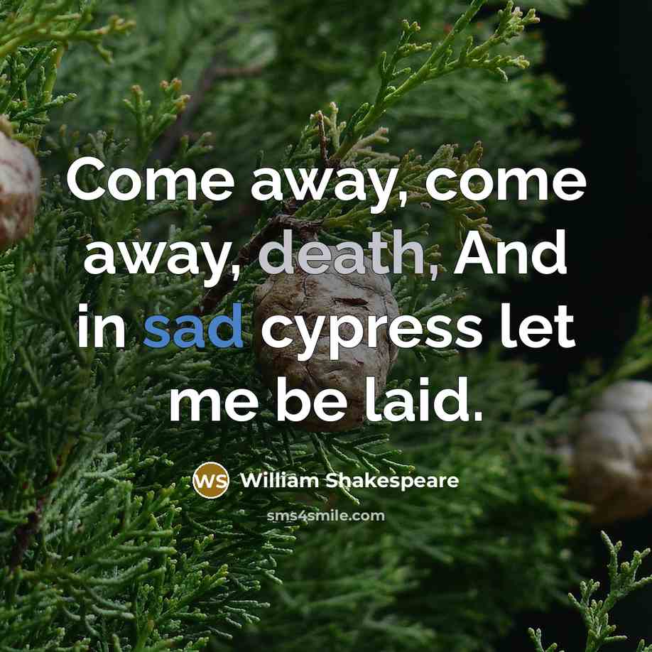“Come away, come away, death, And in sad cypress let…” quote by William Shakespeare