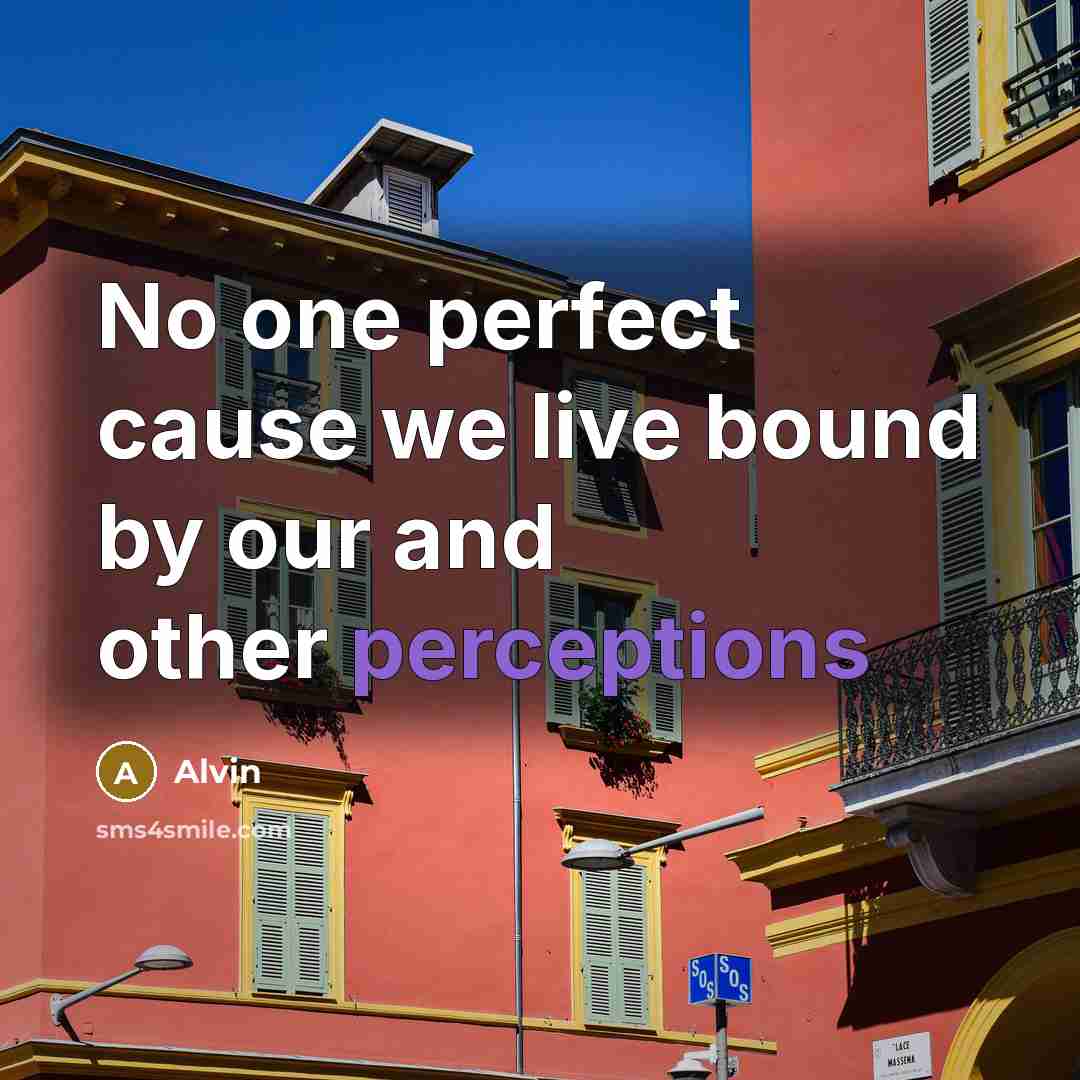 “No one perfect cause we live bound by our and other perceptions” quote by Alvin
