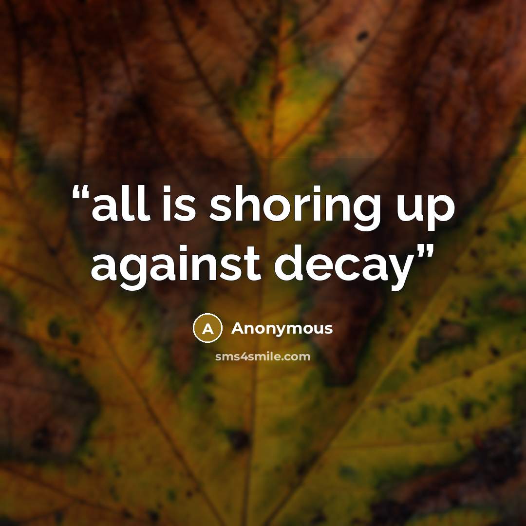 “all is shoring up against decay” quote by Anonymous