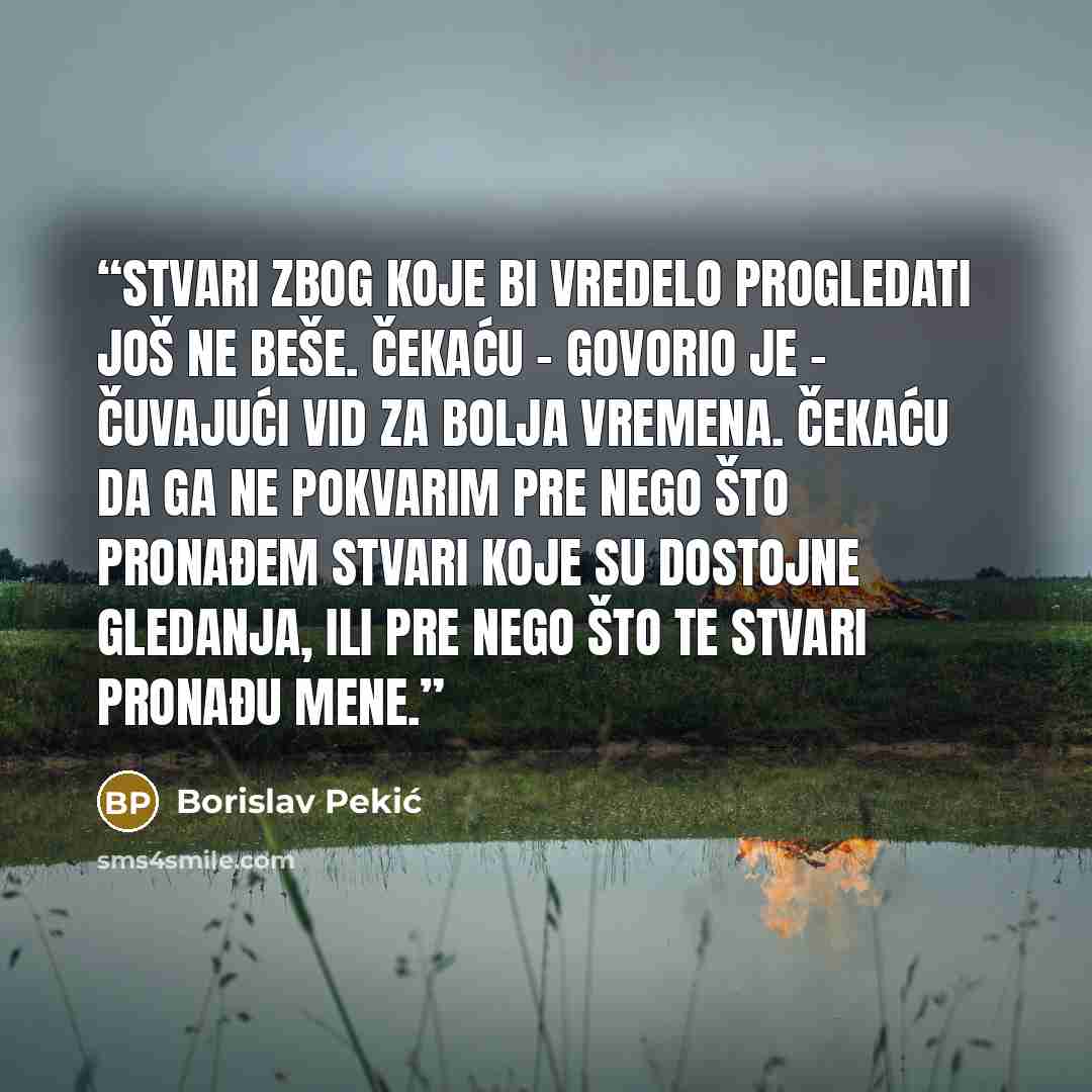 “Stvari zbog koje bi vredelo progledati još ne beše. Čekaću – govorio je – čuvajući vid za bolja vremena. Čekaću da ga ne pokvarim pre nego što pronađem stvari koje su dostojne gledanja, ili pre nego što te stvari pronađu mene.” quote by Borislav Pekić