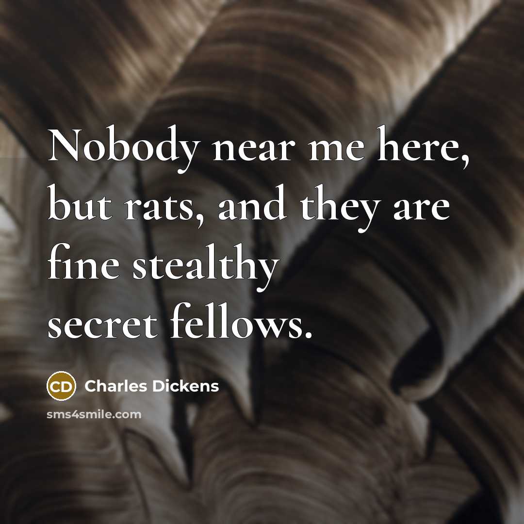 “Nobody near me here, but rats, and they are fine…” quote by Charles Dickens