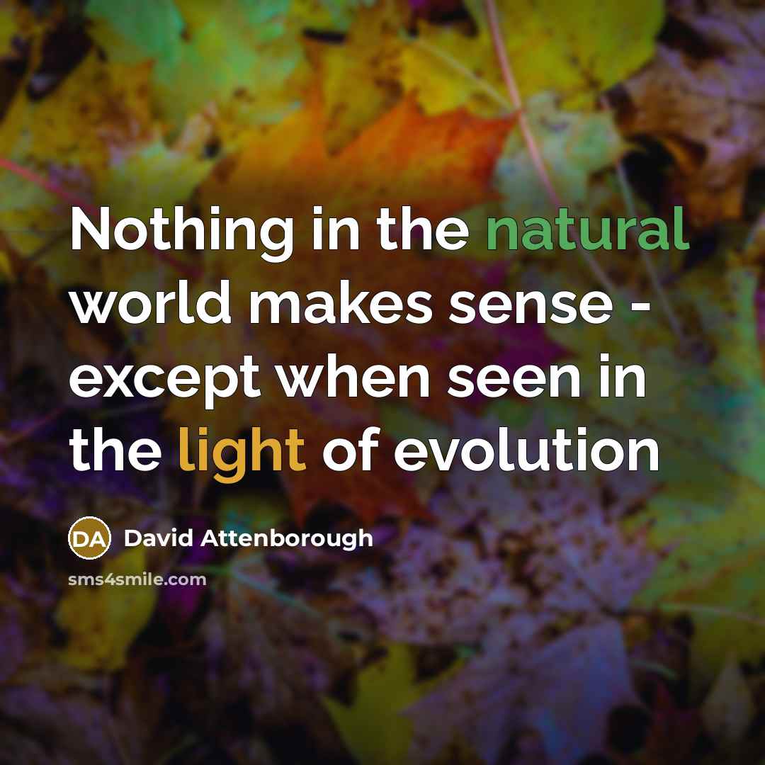 “Nothing in the natural world makes sense - except when…” quote by David Attenborough