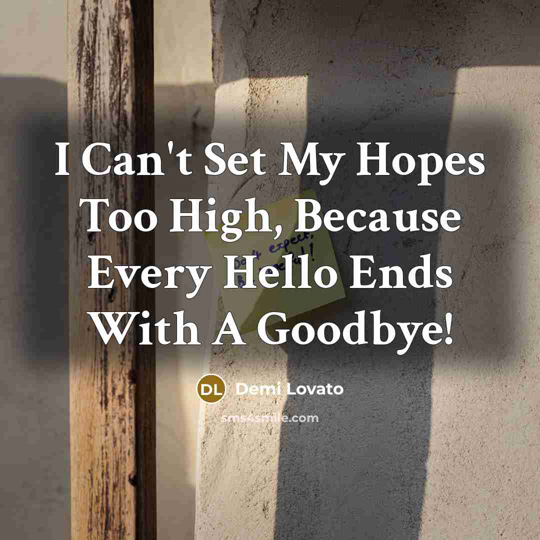 “I Can't Set My Hopes Too High, Because Every Hello…” quote by Demi Lovato