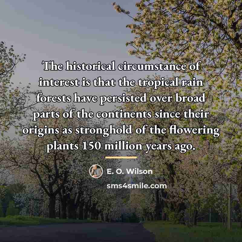 “The historical circumstance of interest is that the tropical rain…” quote by E. O. Wilson