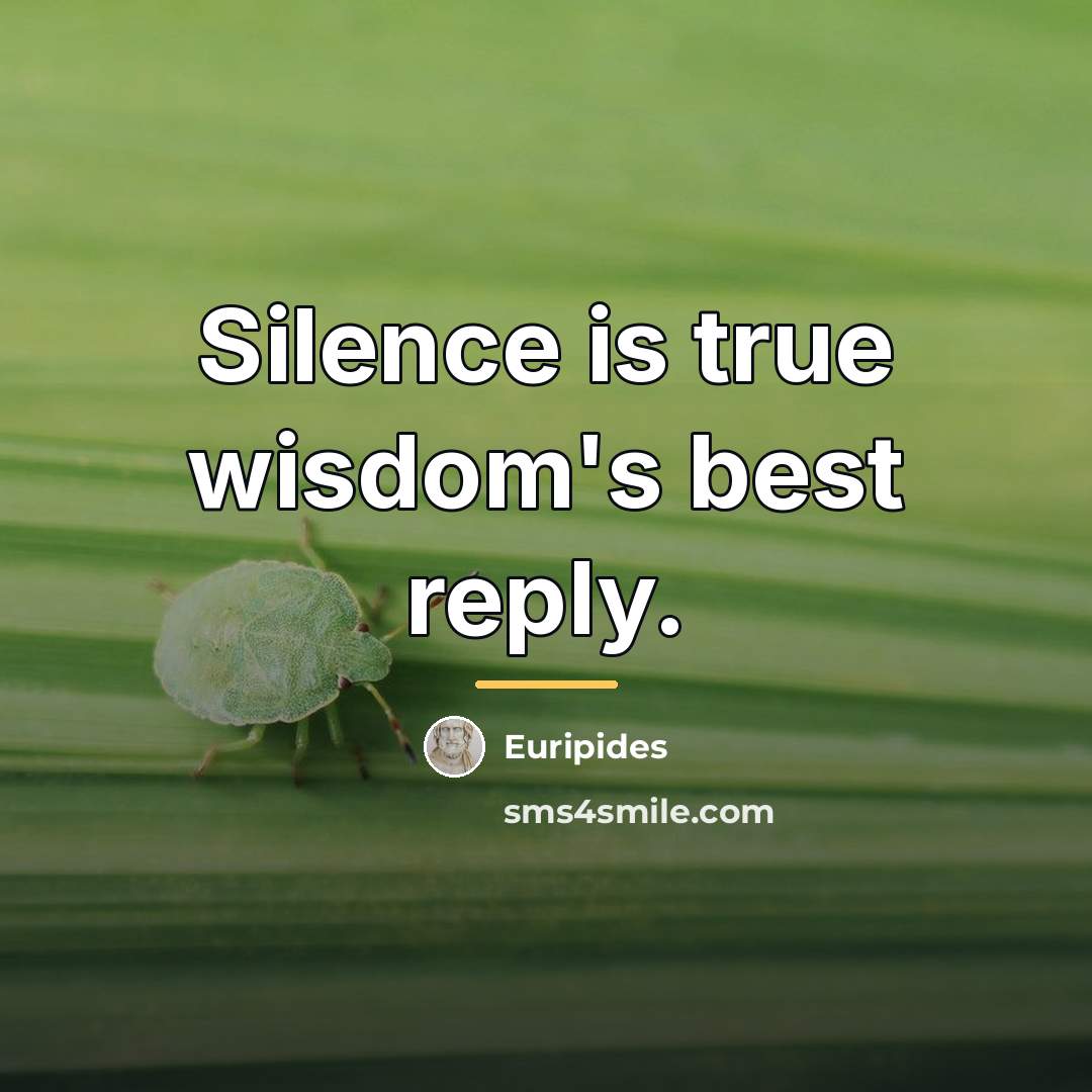 “Silence is true wisdom's best reply.…” quote by Euripides