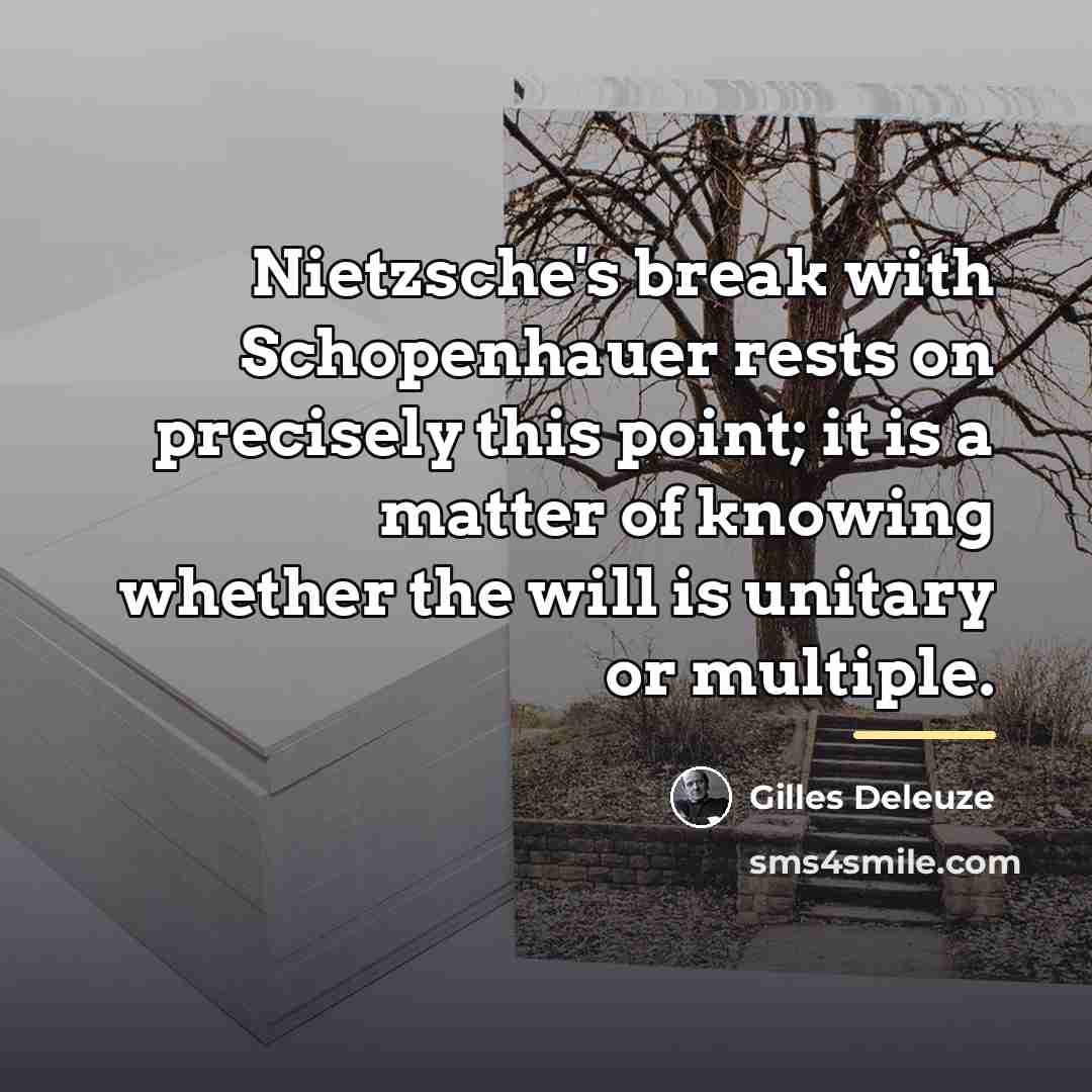 “Nietzsche's break with Schopenhauer rests on precisely this point; it…” quote by Gilles Deleuze