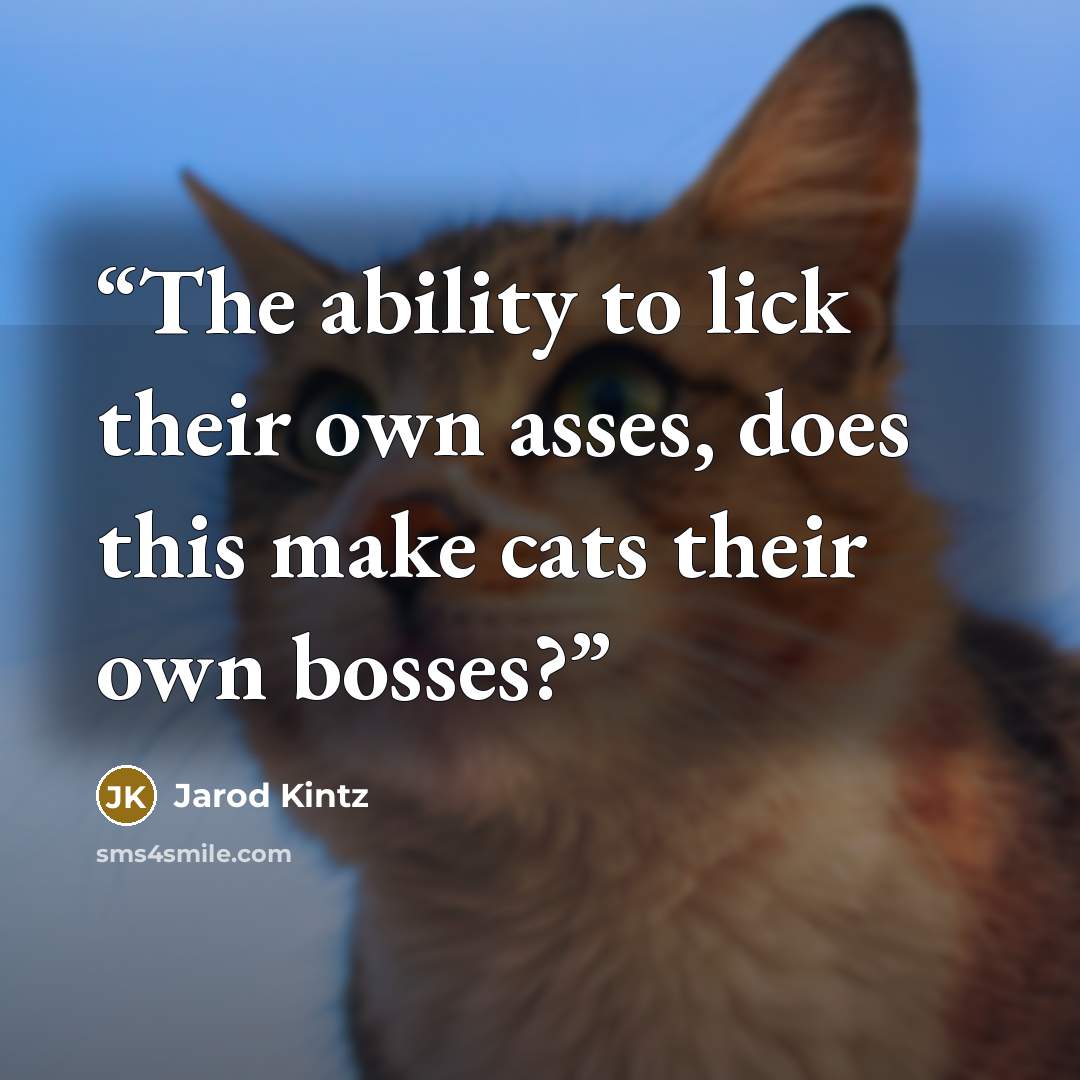 “The ability to lick their own asses, does this make cats their own bosses?” quote by Jarod Kintz