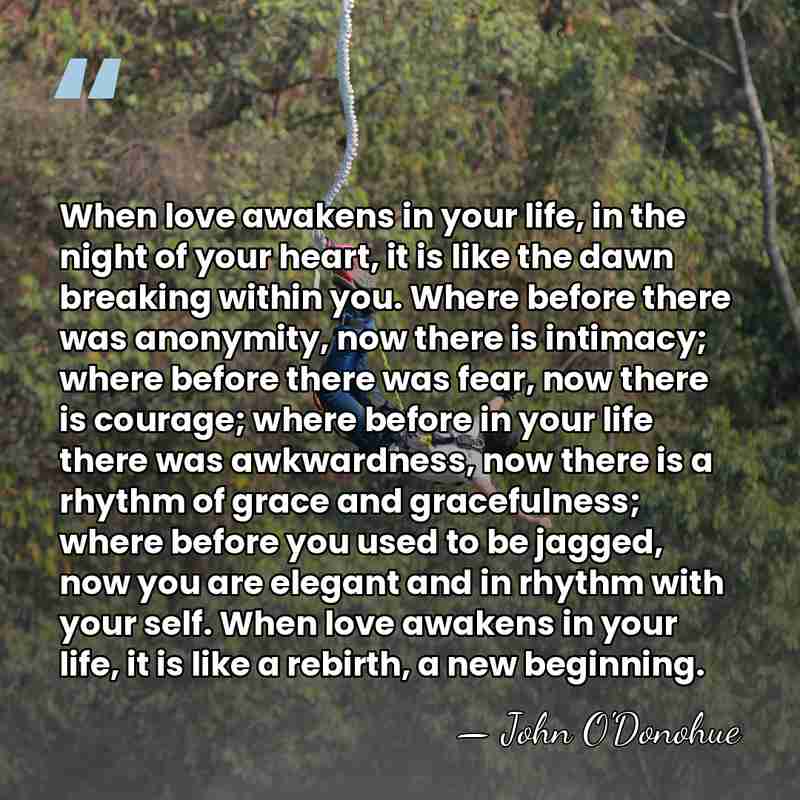 When love awakens in your life, in the night of your heart,&hellip; - John O'Donohue