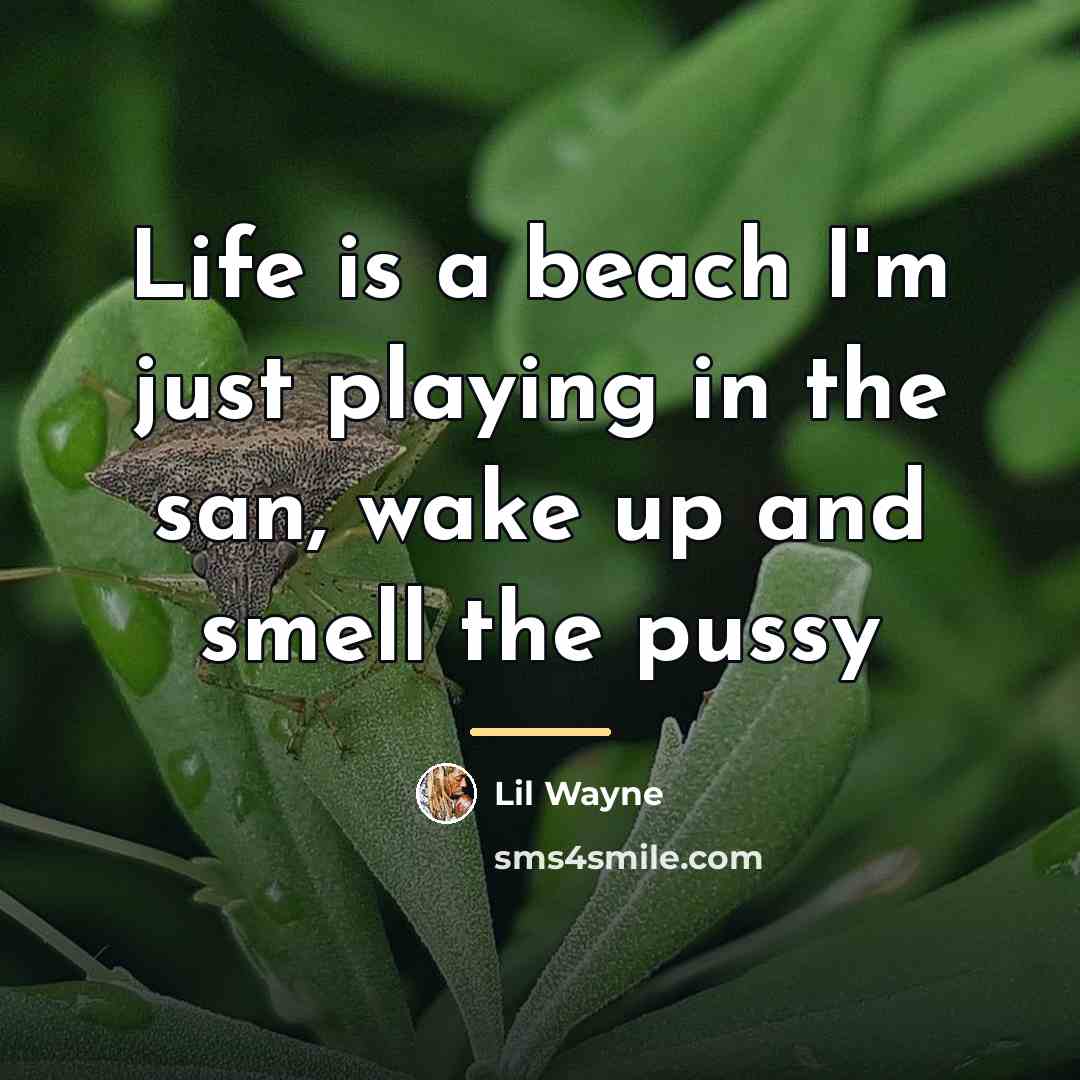 “Life is a beach I'm just playing in the san,…” quote by Lil Wayne