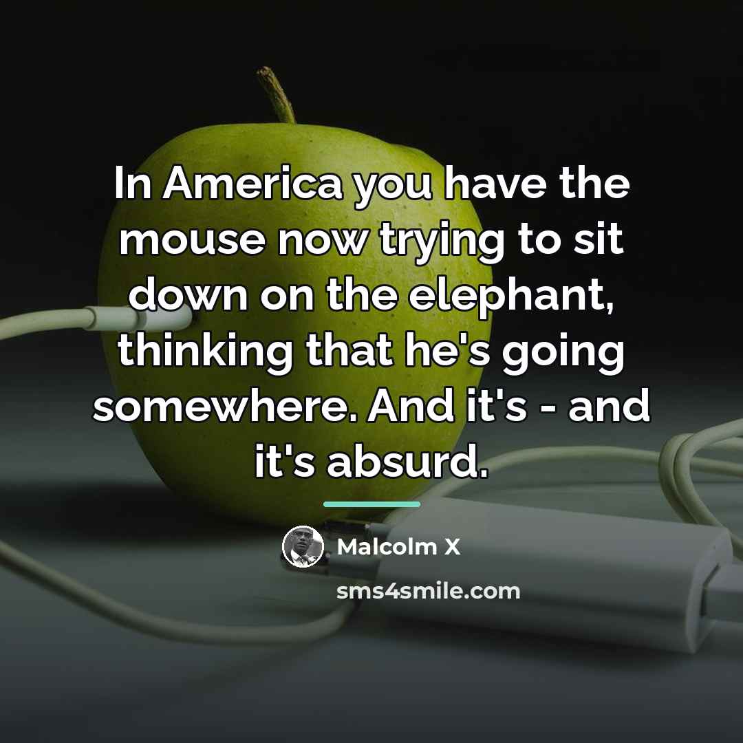 “In America you have the mouse now trying to sit…” quote by Malcolm X