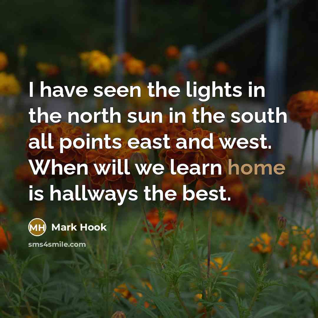 “I have seen the lights in the north sun in…” quote by Mark Hook
