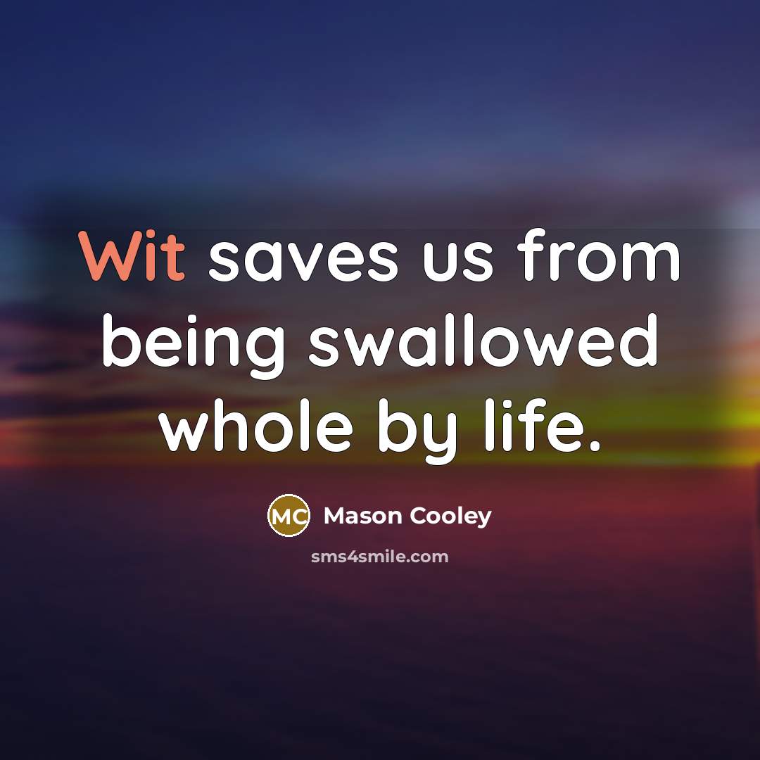 “Wit saves us from being swallowed whole by life.” quote by Mason Cooley