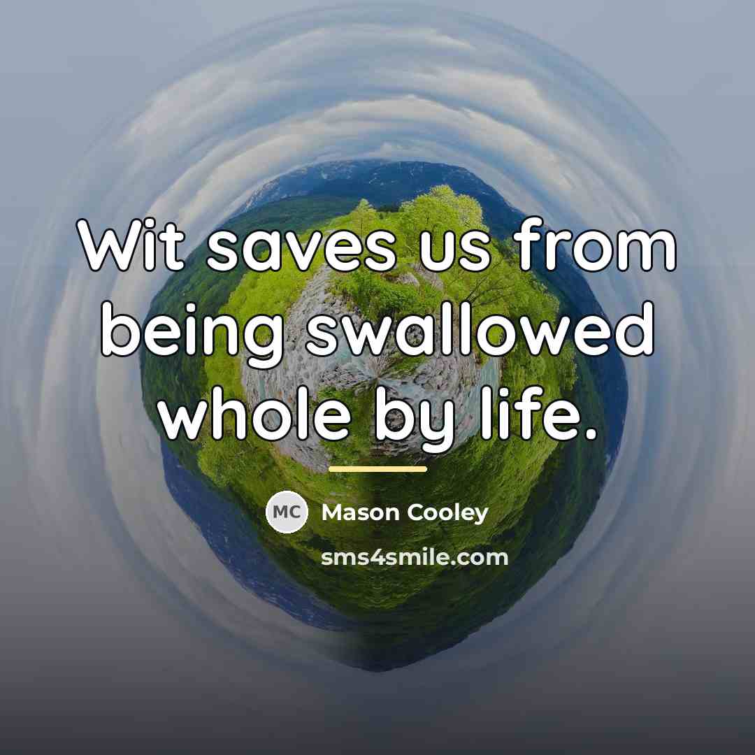 “Wit saves us from being swallowed whole by life.…” quote by Mason Cooley