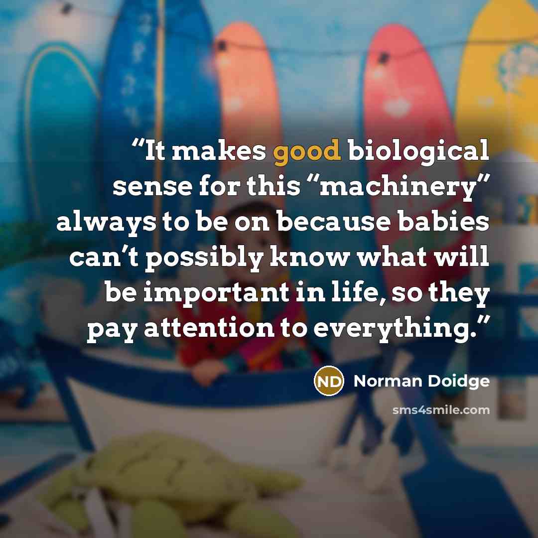 “It makes good biological sense for this “machinery” always to be on because babies can’t possibly know what will be important in life, so they pay attention to everything.” quote by Norman Doidge