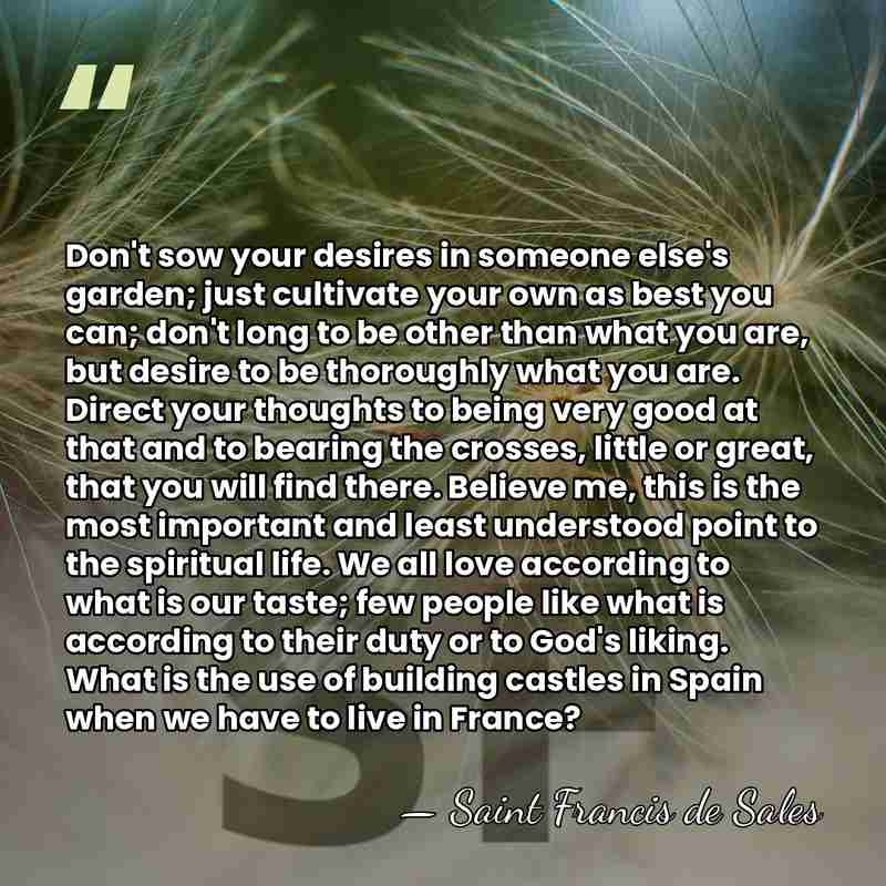 Don't sow your desires in someone else's garden; just cultivate your own&hellip; - Saint Francis de Sales