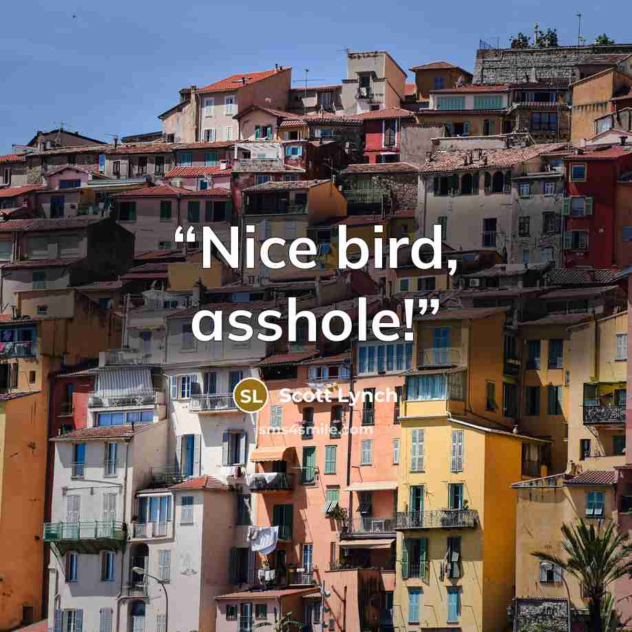 “Nice bird, asshole!” quote by Scott Lynch