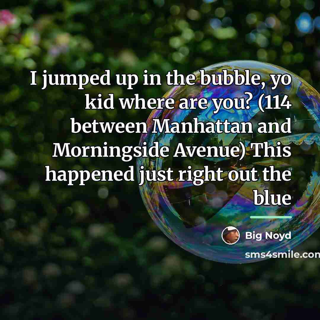 “I jumped up in the bubble, yo kid where are…” quote by Big Noyd