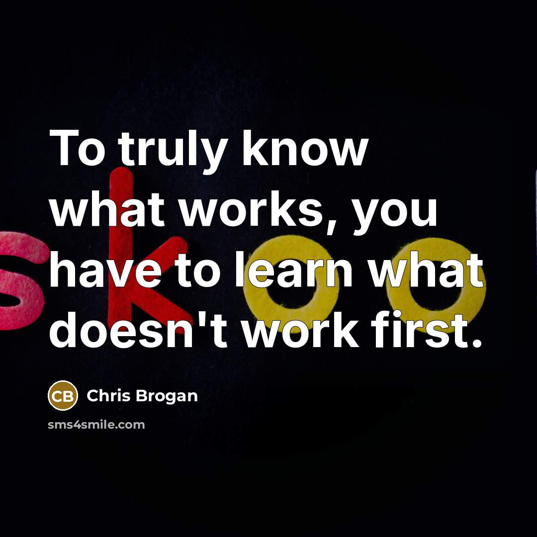 “To truly know what works, you have to learn what…” quote by Chris Brogan