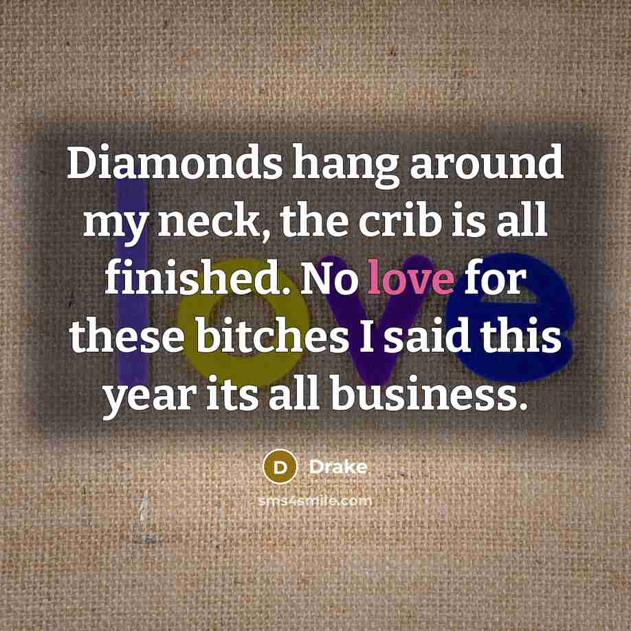 “Diamonds hang around my neck, the crib is all finished. No love for these bitches I said this year its all business.” quote by Drake