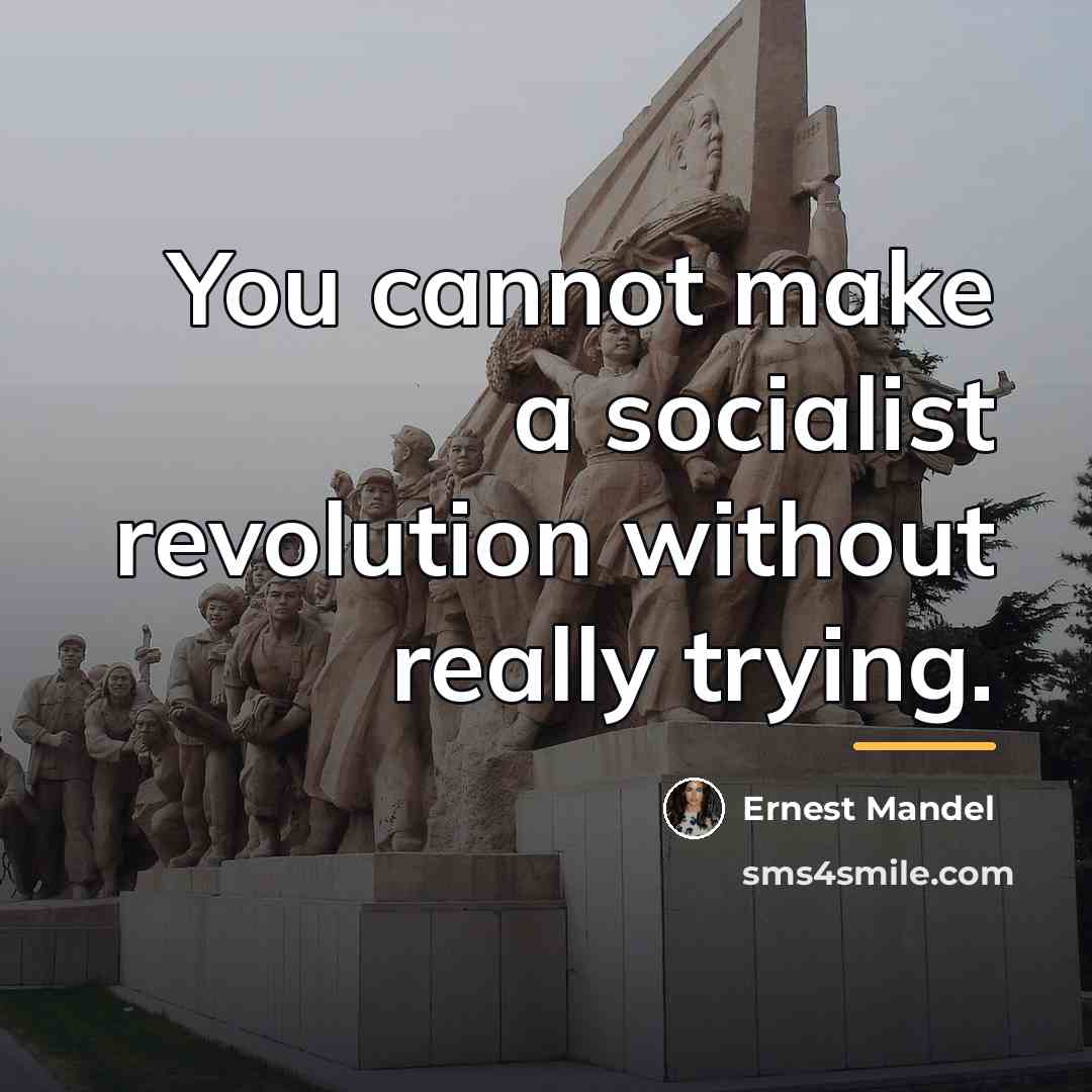 “You cannot make a socialist revolution without really trying.…” quote by Ernest Mandel