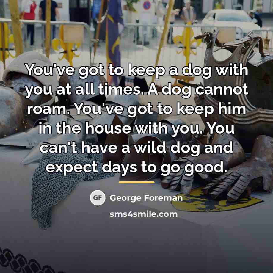 “You've got to keep a dog with you at all…” quote by George Foreman