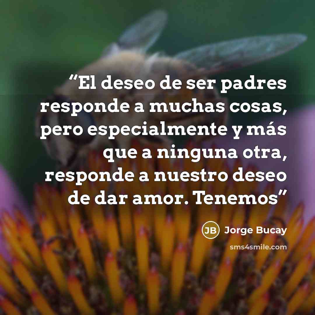 “El deseo de ser padres responde a muchas cosas, pero especialmente y más que a ninguna otra, responde a nuestro deseo de dar amor. Tenemos” quote by Jorge Bucay
