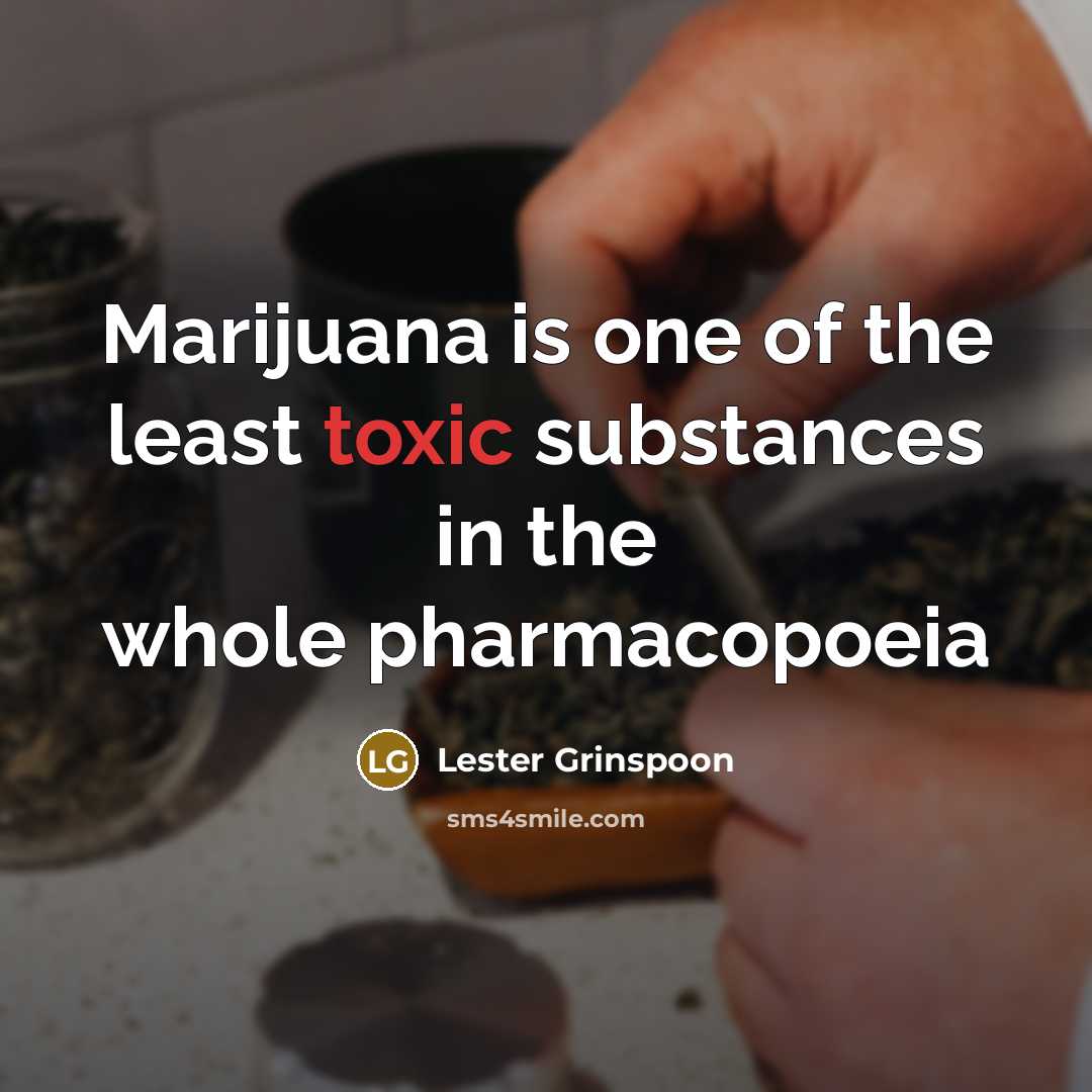 “Marijuana is one of the least toxic substances in the…” quote by Lester Grinspoon