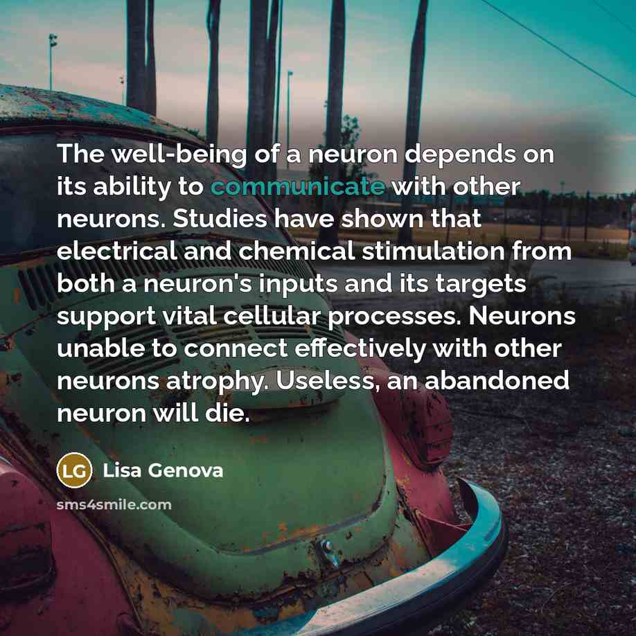 “The well-being of a neuron depends on its ability to…” quote by Lisa Genova