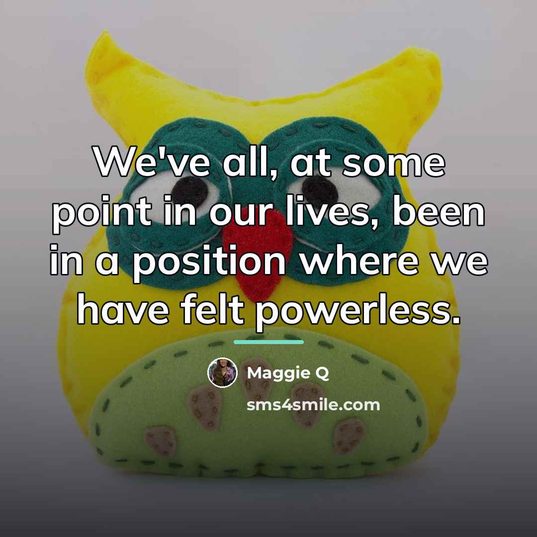 “We've all, at some point in our lives, been in…” quote by Maggie Q