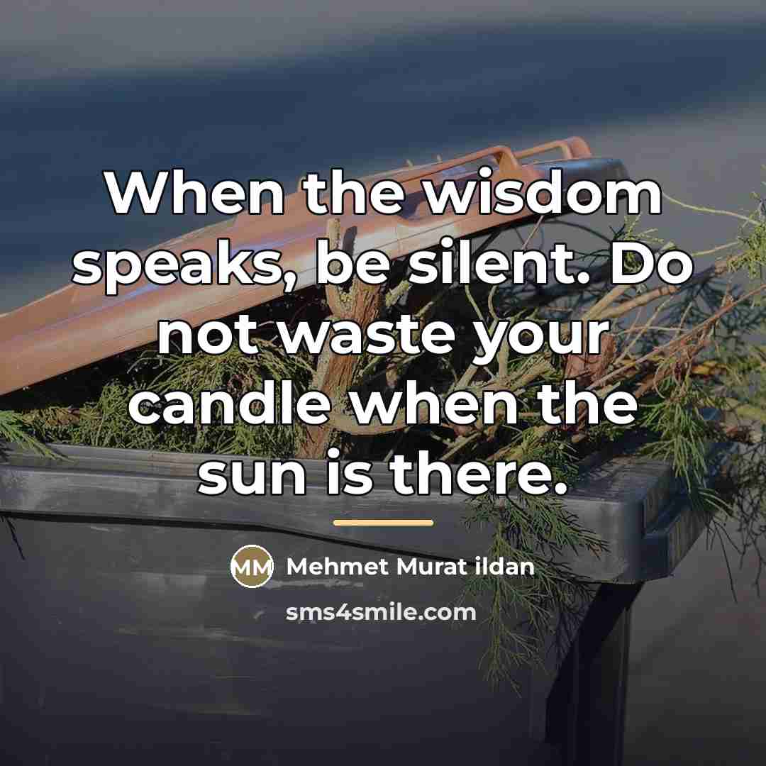 “When the wisdom speaks, be silent. Do not waste your…” quote by Mehmet Murat Ildan