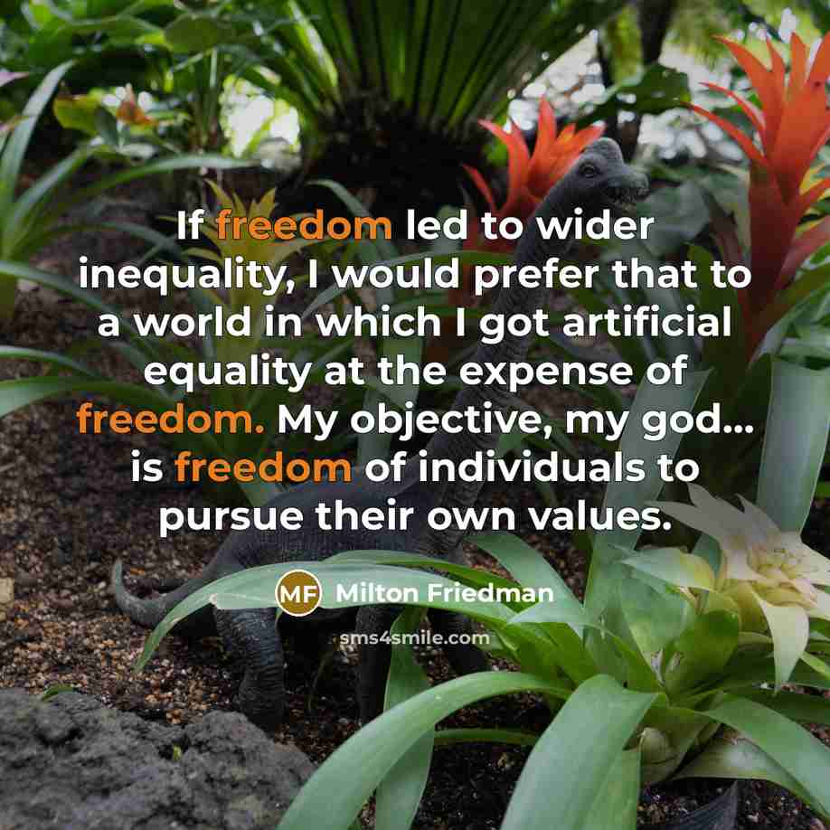 “If freedom led to wider inequality, I would prefer that…” quote by Milton Friedman