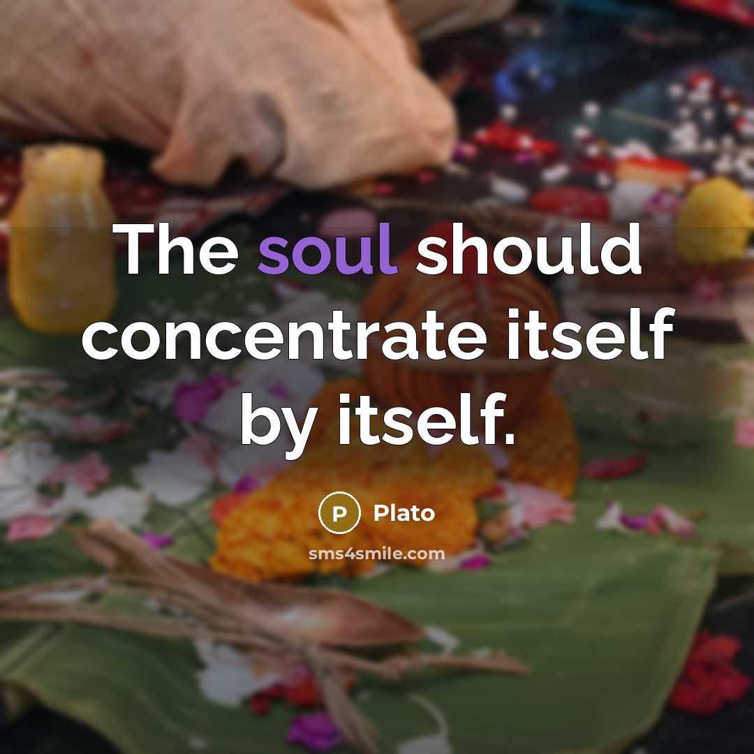 “The soul should concentrate itself by itself.…” quote by Plato