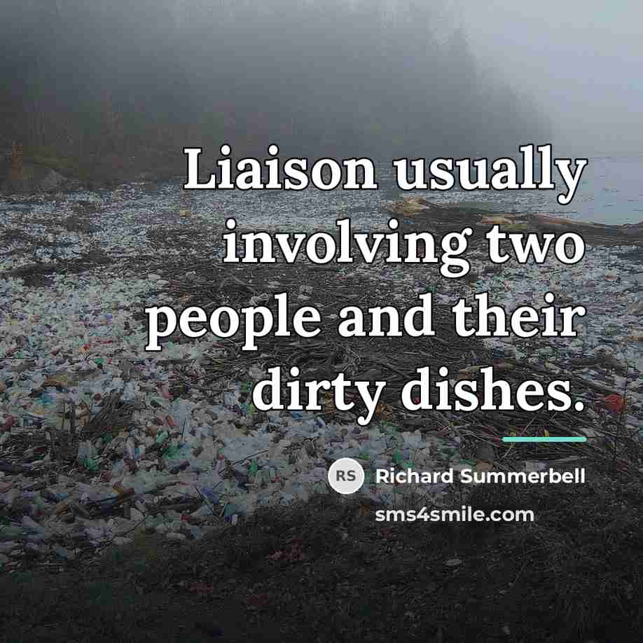 “Liaison usually involving two people and their dirty dishes.…” quote by Richard Summerbell