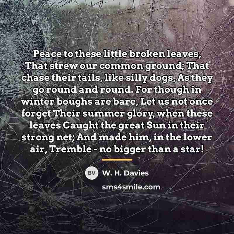 “Peace to these little broken leaves, That strew our common…” quote by W. H. Davies