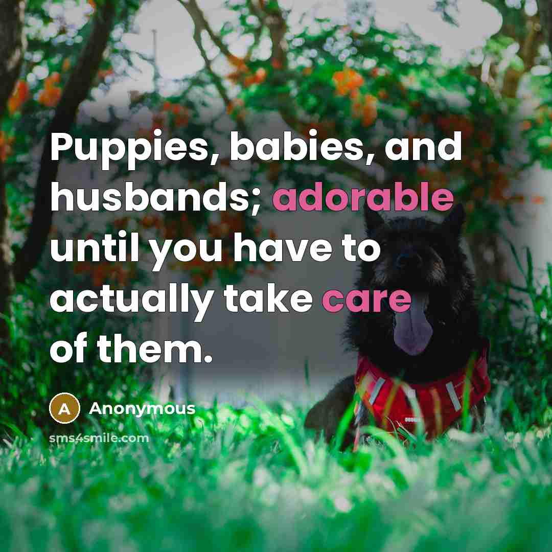“Puppies, babies, and husbands; adorable until you have to actually take care of them.” quote by Anonymous