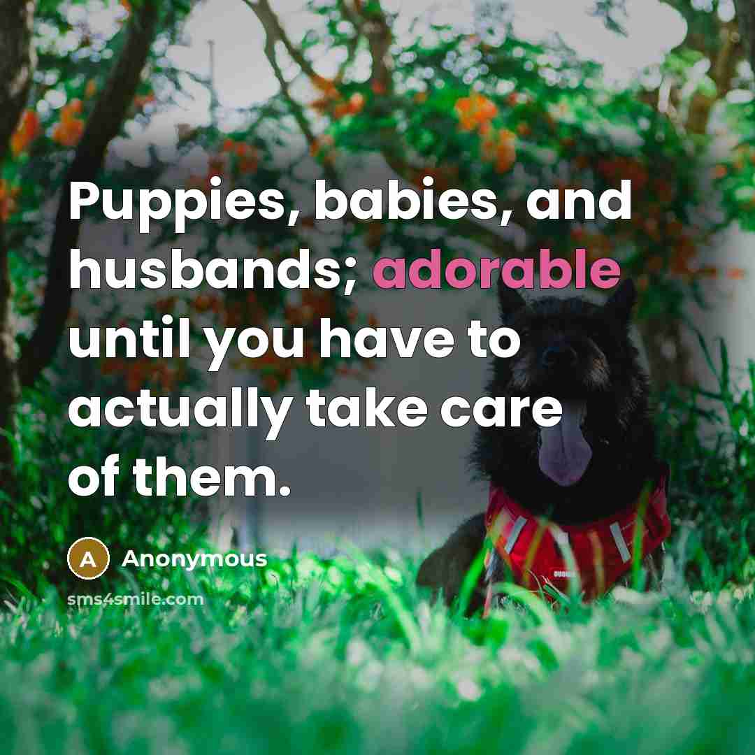 “Puppies, babies, and husbands; adorable until you have to actually…” quote by Anonymous