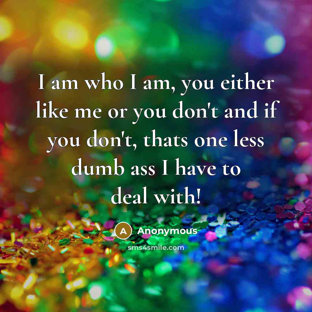 “I am who I am, you either like me or you don't and if you don't, thats one less dumb ass I have to deal with!” quote by Anonymous