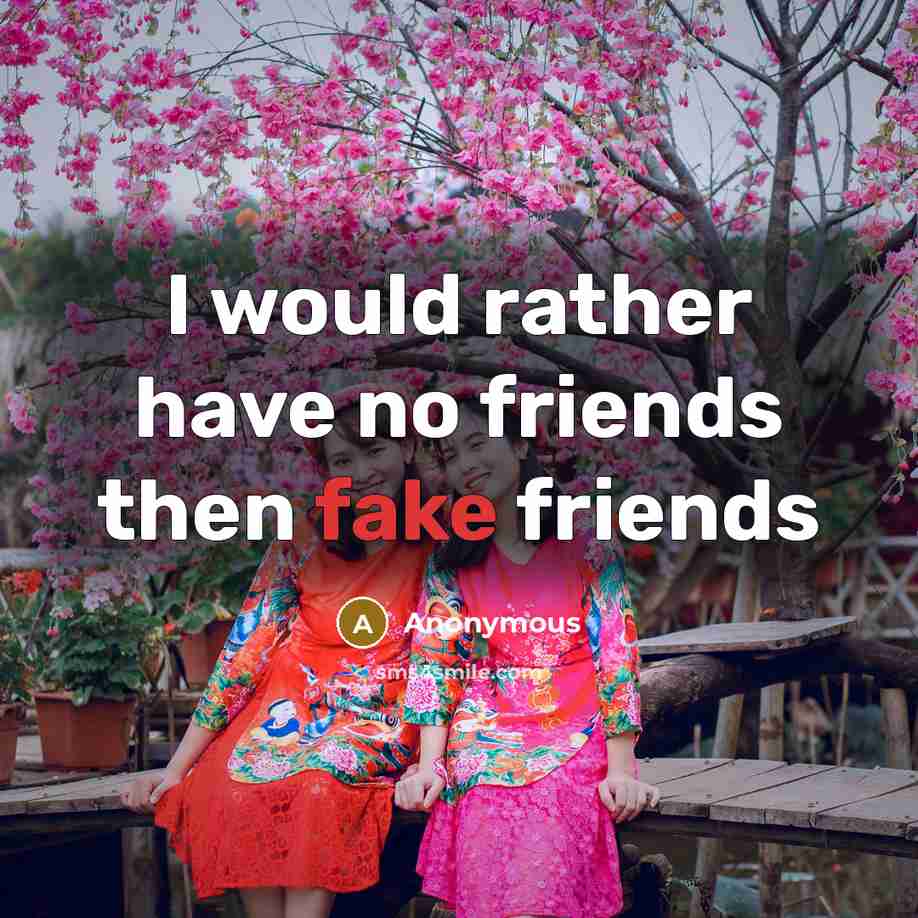 “I would rather have no friends then fake friends…” quote by Anonymous