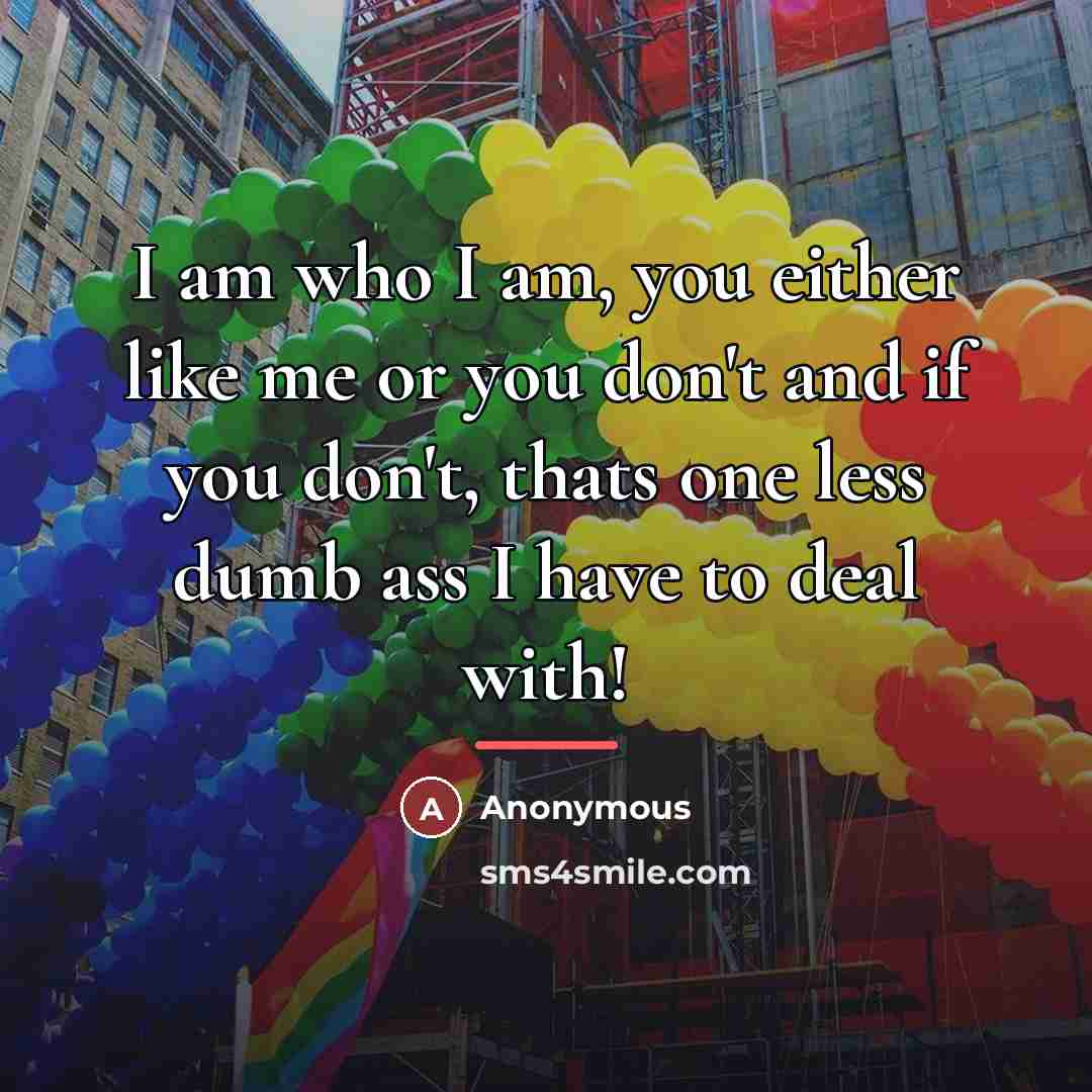 “I am who I am, you either like me or…” quote by Anonymous
