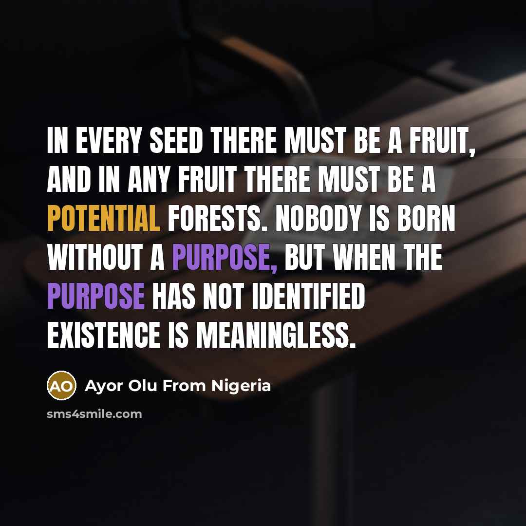“In every seed there must be a fruit, and in any fruit there must be a potential forests. Nobody is born without a purpose, but when the purpose has not identified existence is meaningless.” quote by Ayor Olu From Nigeria