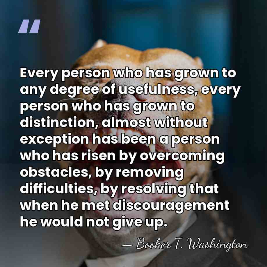 Every person who has grown to any degree of usefulness, every person&hellip; - Booker T. Washington