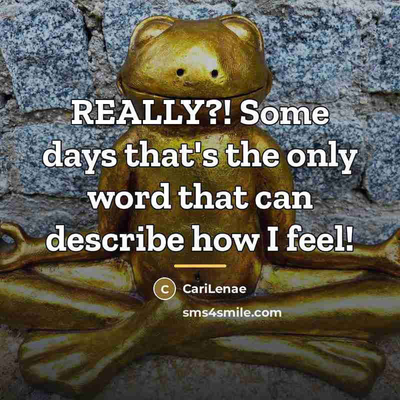 “REALLY?! Some days that's the only word that can describe…” quote by CariLenae